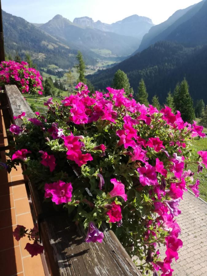Chalet Relax Поцца-ди-Фасса Экстерьер фото
